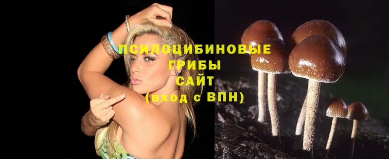 Псилоцибиновые грибы MAGIC MUSHROOMS  Новосибирск 