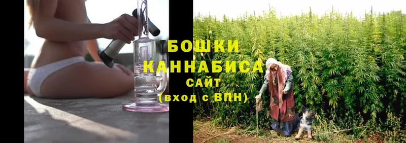 OMG как войти  купить закладку  Новосибирск  Бошки Шишки White Widow 